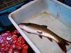 -鲜椒鱼·雅安地标性美食