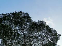 -福田体育公园
