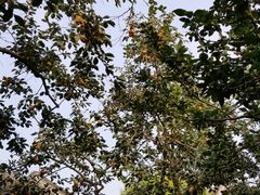 景点-梅兰芳纪念馆