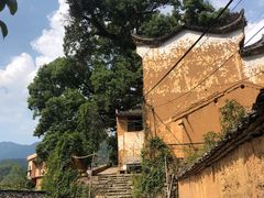 -杨家堂村