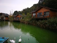 -杭州开元森泊度假乐园