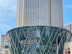 -鹏欣水游城
