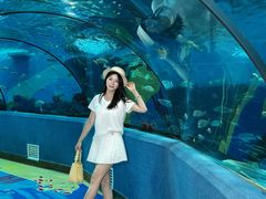 -合肥海洋世界