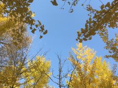 -森林公园(尖草坪区)
