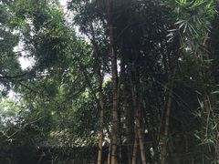 -柳侯公园