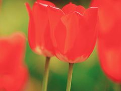 -哈尔滨文化公园