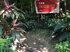 -碧桂园润杨溪谷温泉酒店