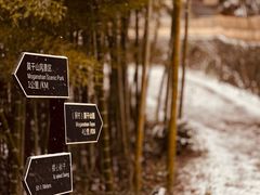 -莫干山风景区