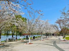 -Beans Solo豆号咖啡(百家湖花园店)