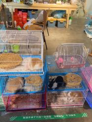 -造物庄园 萌宠纪(苏州湾歌林公园店)