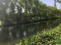 -洋湖国家湿地公园