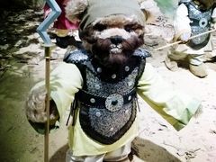 -成都泰迪熊博物馆