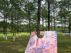 -宜兴龙背山森林公园