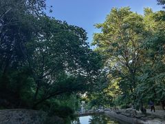 -北京西山国家森林公园