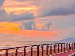 -沿江海南菜·文昌鸡祖师爷(大东海店)