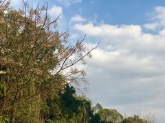 -成都市活水公园