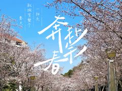 -苏宁钟山国际高尔夫酒店大堂酒廊
