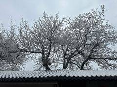 -冶父山国家森林公园
