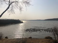 -丁香湖公园