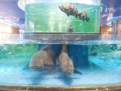 -都市阳光海鲜城(青山湖店)