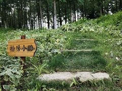-田园东方蜜桃村的田野营地