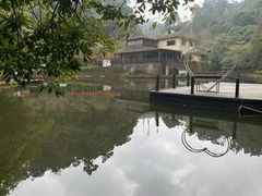 -云南屏边大围山国家公园