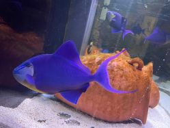 -Zoolung Zoolung动物主题公园(海信广场店)