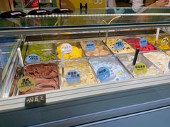 -Mint Gelato(二厂店)