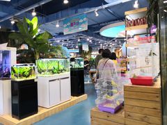 -龟与熊猫宠物公园(南坪店)