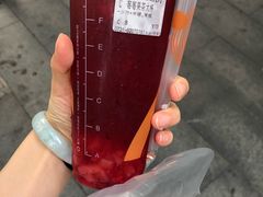 莓莓果茶-CoCo都可(候家塘店)