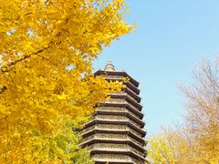 -玲珑塔公园
