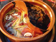 -镇江龙·火锅串串(武侯祠店)