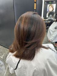 -藤野造型