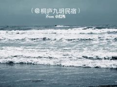 -日照海滨国家森林公园