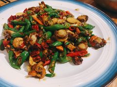 爆炒扇贝肉-家有美味(户部山二店)