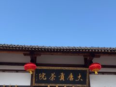-大唐贡茶院