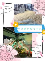 -恐龙探索乐园(磁器口店)