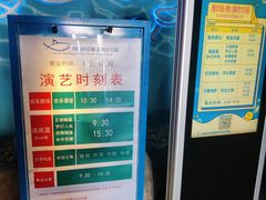 -烟台海昌鲸鲨海洋公园