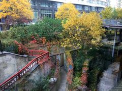 -永泰福朋喜来登酒店-宜客乐自助餐厅(远大路店)