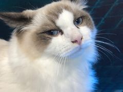 -零纪元VR体验馆·桌游(黄浦店)