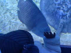 -海合安青岛极地海洋公园