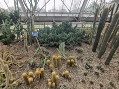 -南山植物园