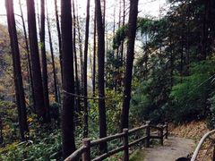 -藏龙百瀑风景区