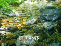 -牛背梁国家森林公园