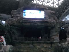 -杭州开元森泊度假乐园