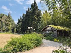 -重庆雨台山风景区