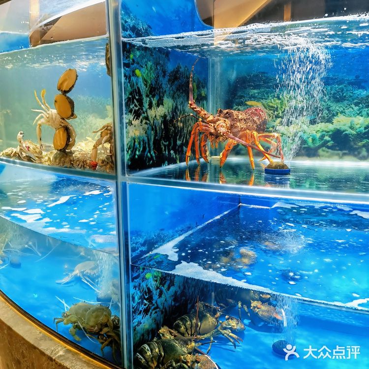 超好吃的台州菜🥬现烫鸡毛菜我爱了  