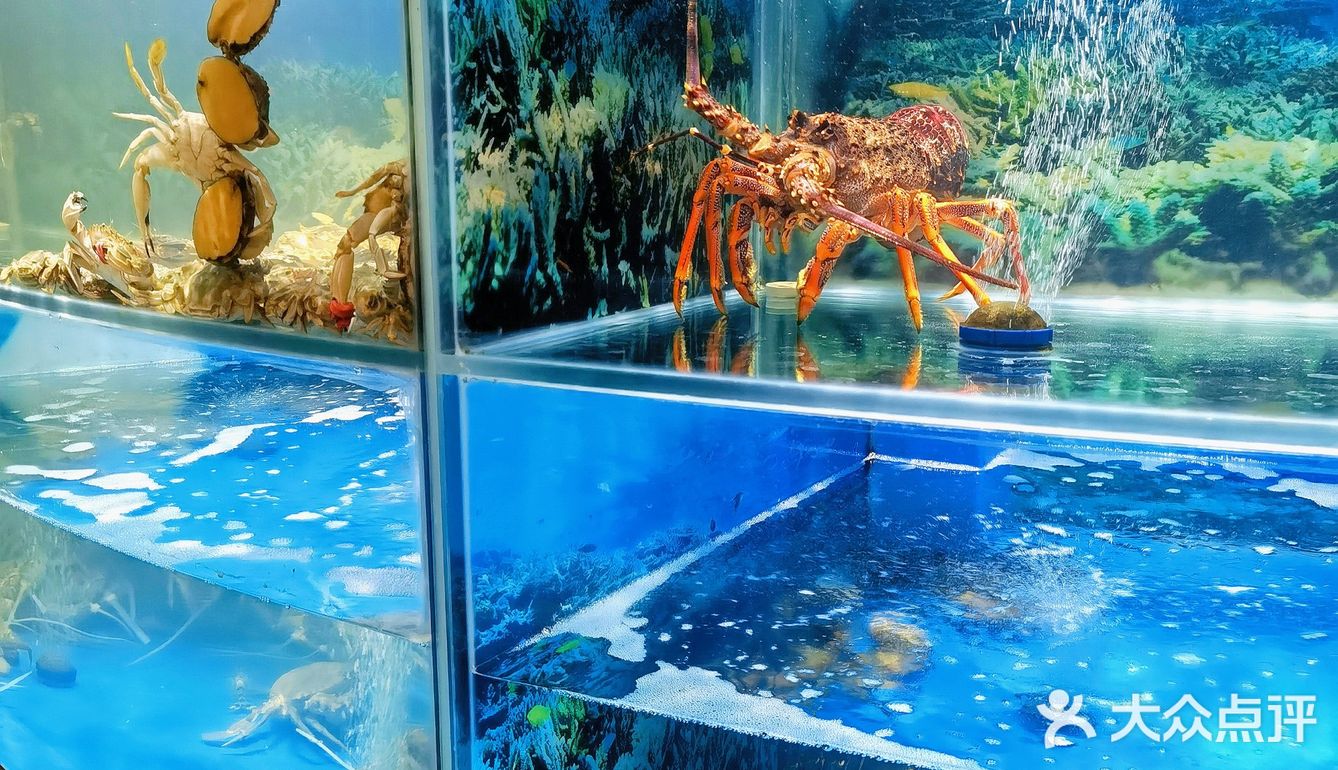 超好吃的台州菜🥬现烫鸡毛菜我爱了  