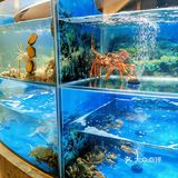 超好吃的台州菜🥬现烫鸡毛菜我爱了  