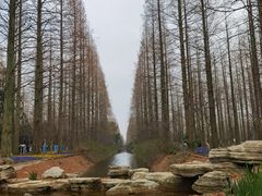 -东平国家森林公园